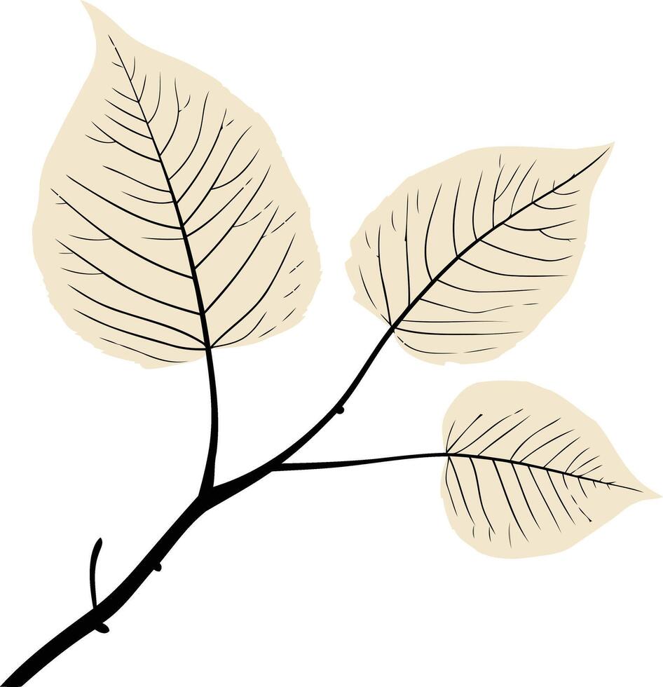 Simple Leaf Branch Illustration vector