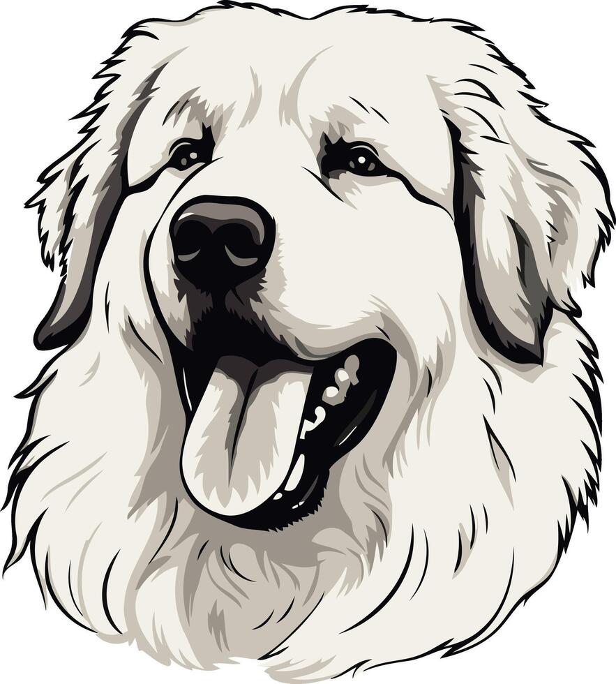 Portrait of a Great Pyrenees Dog vector