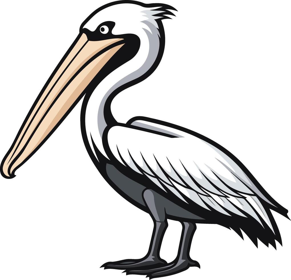 Cartoon Pelican Illustration vector