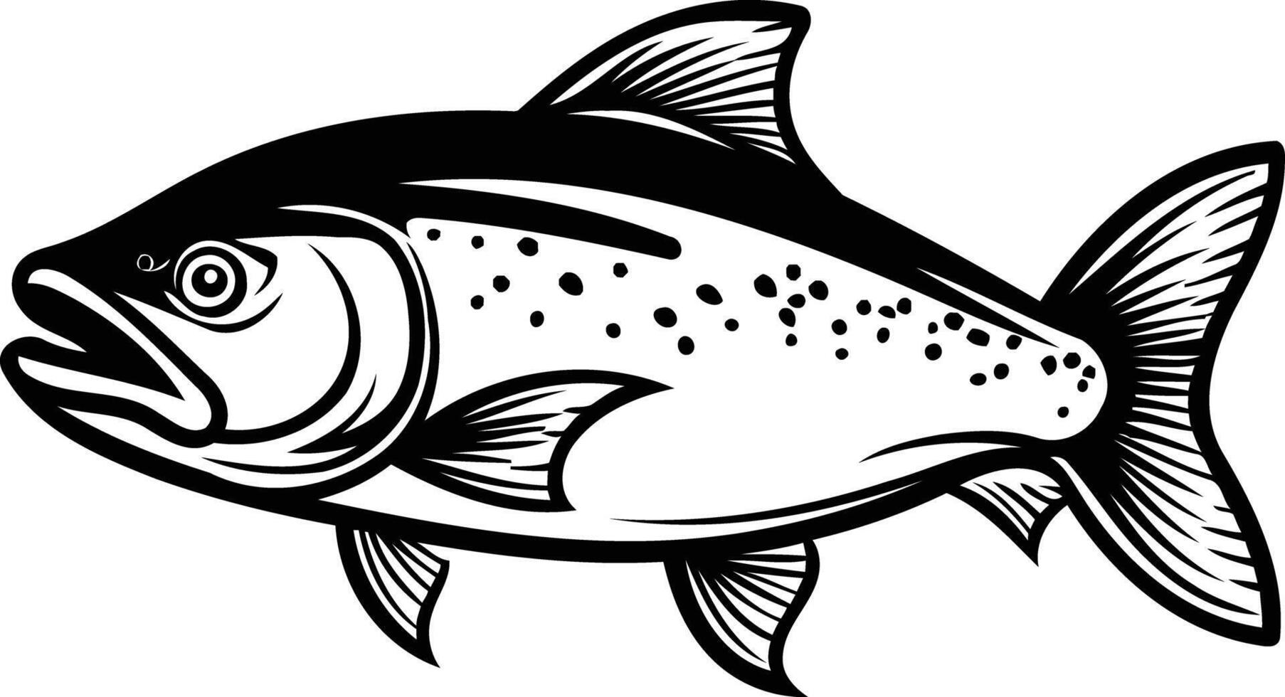A detailed black and white illustration of a trout, perfect for fishing-themed designs vector