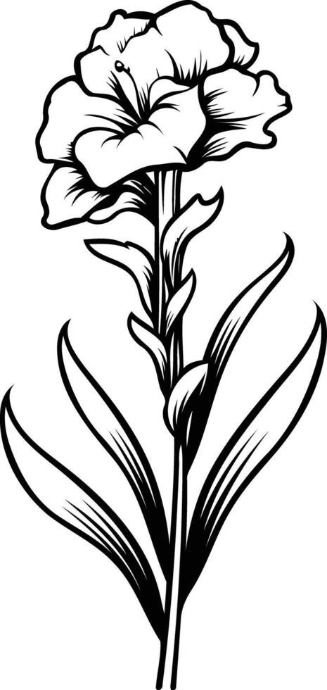 Elegant line art illustration of a single flower with leaves vector