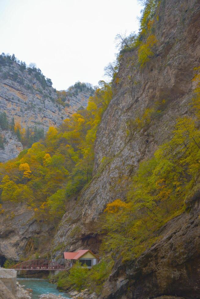 Scenic view of trees and river in the mountains in autumn photo