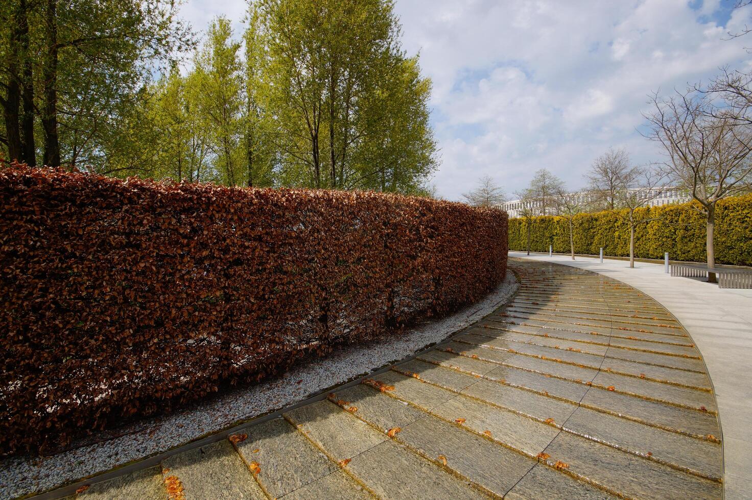 City park Krasnodar. An artificial fast-flowing river with granite banks flows around an evergreen hedge with a seating area. Public landscape Galitsky Park for recreation and walks photo