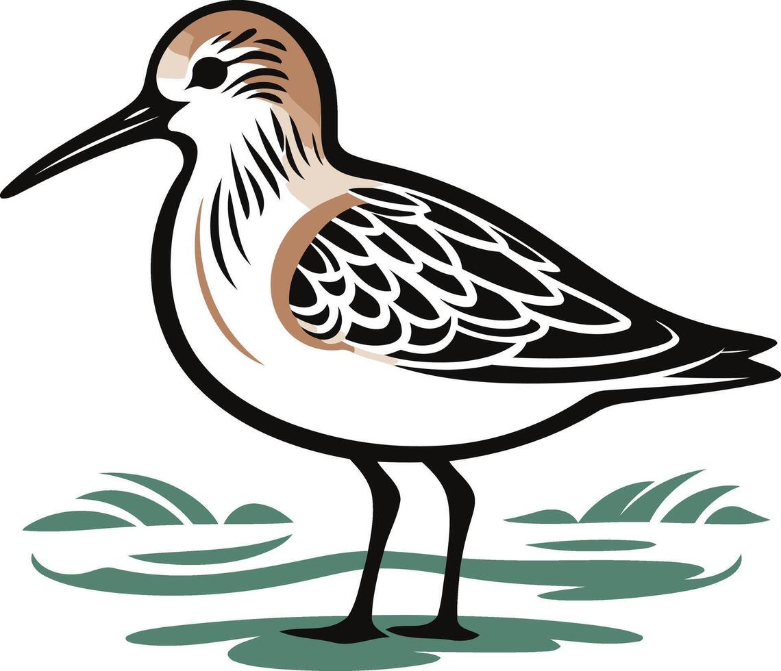 Illustration of a Sanderling Bird in Water vector