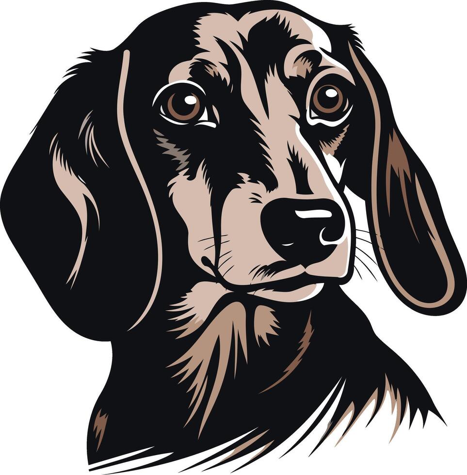 Portrait of a Dachshund vector