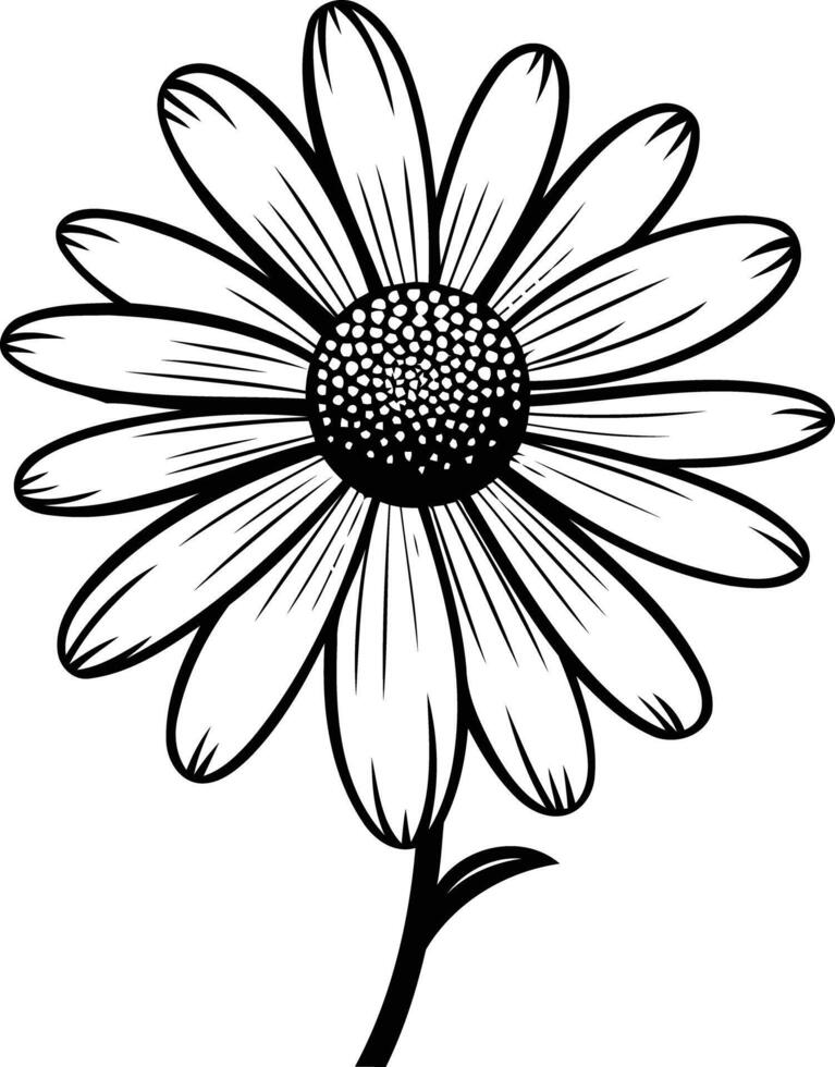 Simple black and white illustration of a daisy, perfect for adding a touch of floral beauty to designs vector