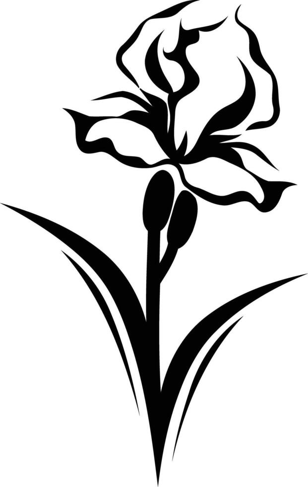 Elegant black and white illustration of an iris flower vector