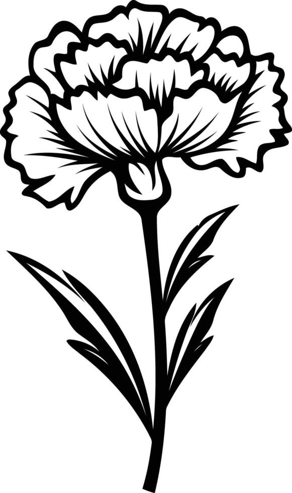 A simple yet elegant line drawing of a carnation flower vector