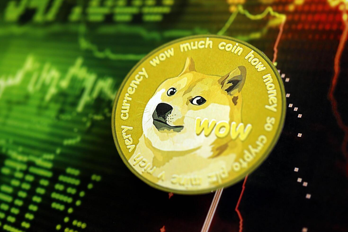 KYIV, UKRAINE - AUGUST 17, 2024 DOGE Meme coin on dark cryptocurrency digital trading chart in green and red colors photo