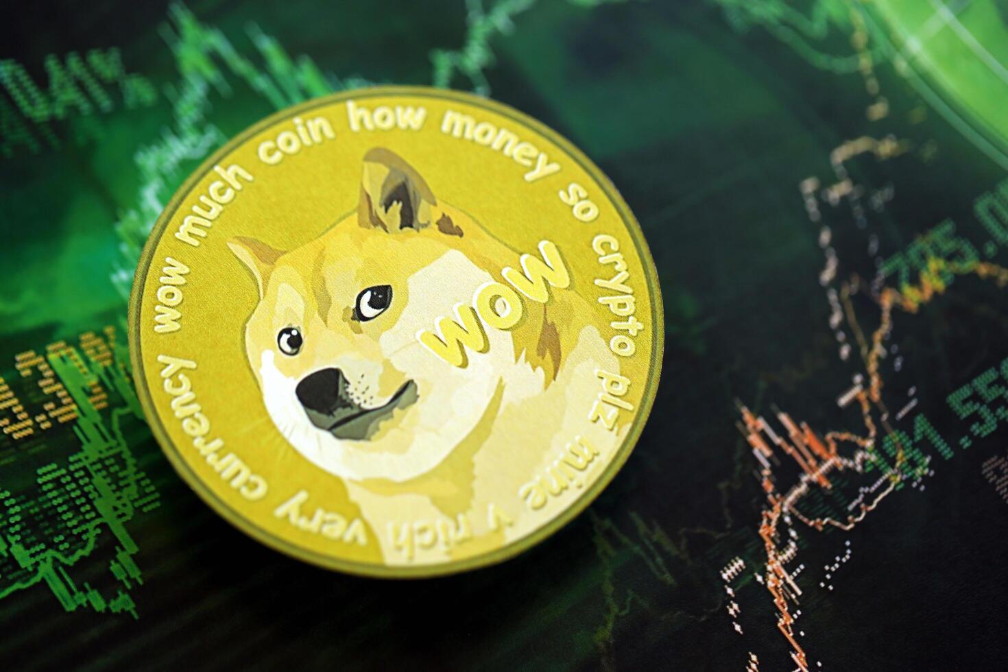KYIV, UKRAINE - AUGUST 17, 2024 DOGE Meme coin on dark cryptocurrency digital trading chart in green colors photo