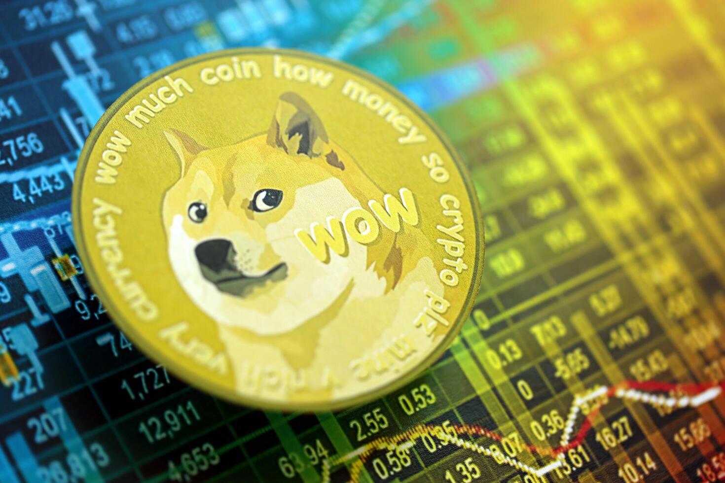 KYIV, UKRAINE - AUGUST 17, 2024 DOGE Meme coin on cryptocurrency trading chart with calculations in different colors photo