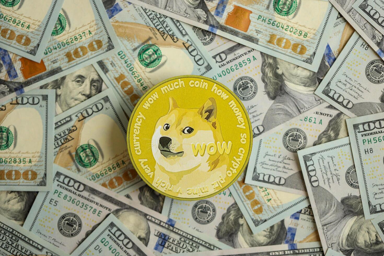 KYIV, UKRAINE - AUGUST 17, 2024 DOGE Meme coin on big amount of hundred US dollar bills photo