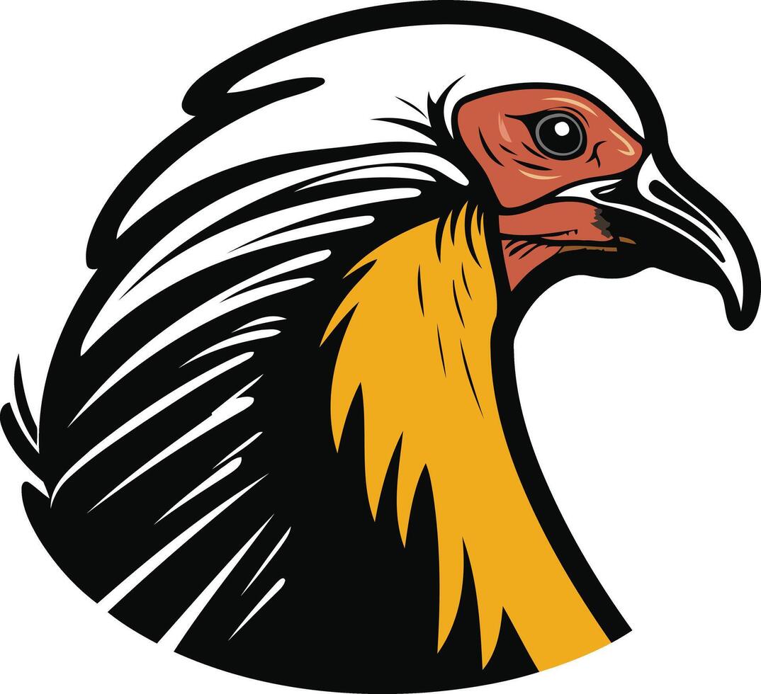 Head of a Golden Pheasant vector