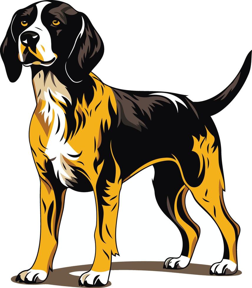 A detailed illustration of a hunting dog, with black, yellow, and white fur, standing in a proud pose vector