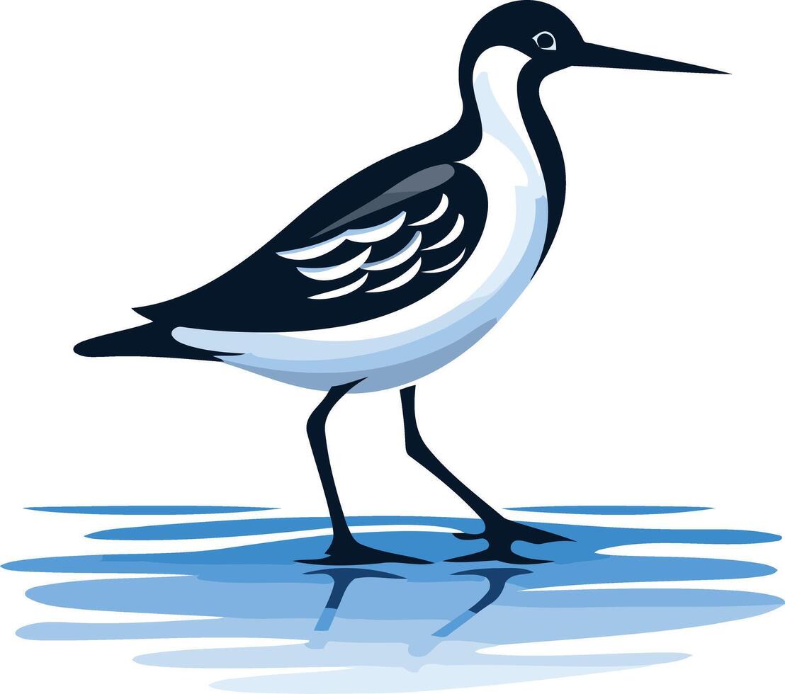 A stylized illustration of a black and white bird wading in blue water vector