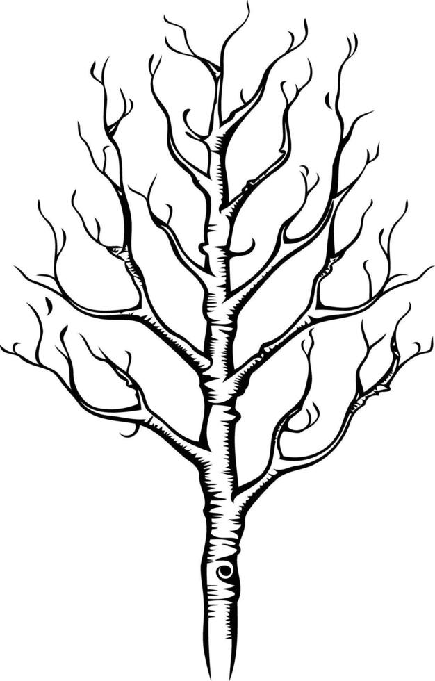 Simple yet striking black and white illustration of a bare tree, perfect for nature themed designs, tattoos, or branding vector