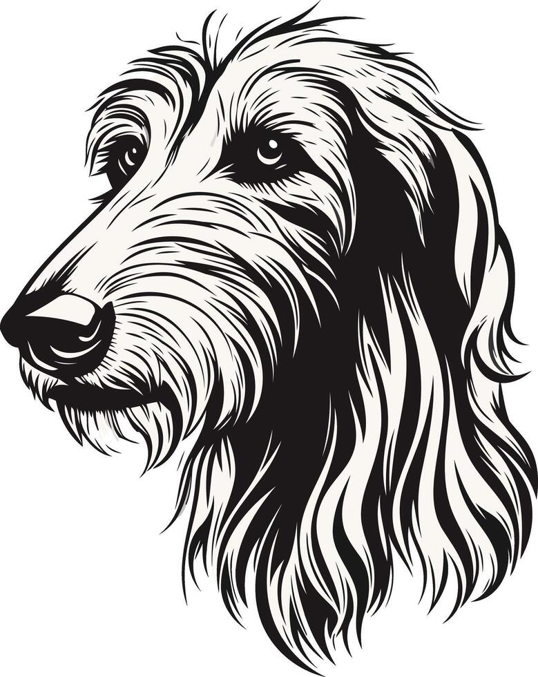 Black and white line drawing of a irish wolfhound's head, perfect for t shirt designs, logos, and illustrations vector