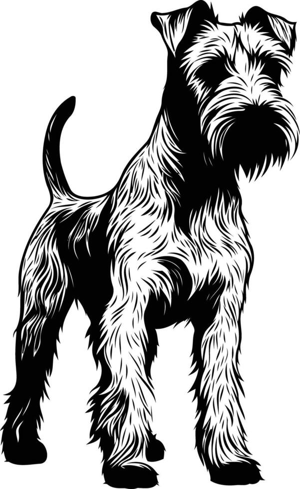 Black and white illustration of a wirehaired terrier standing, ready for use in designs, illustrations, and branding projects vector