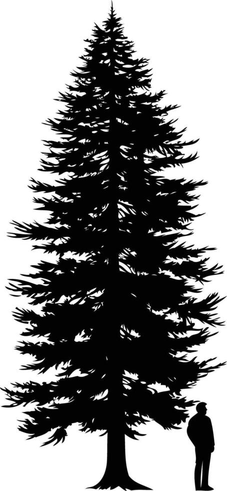A striking silhouette of a towering pine tree with a person standing beneath it vector