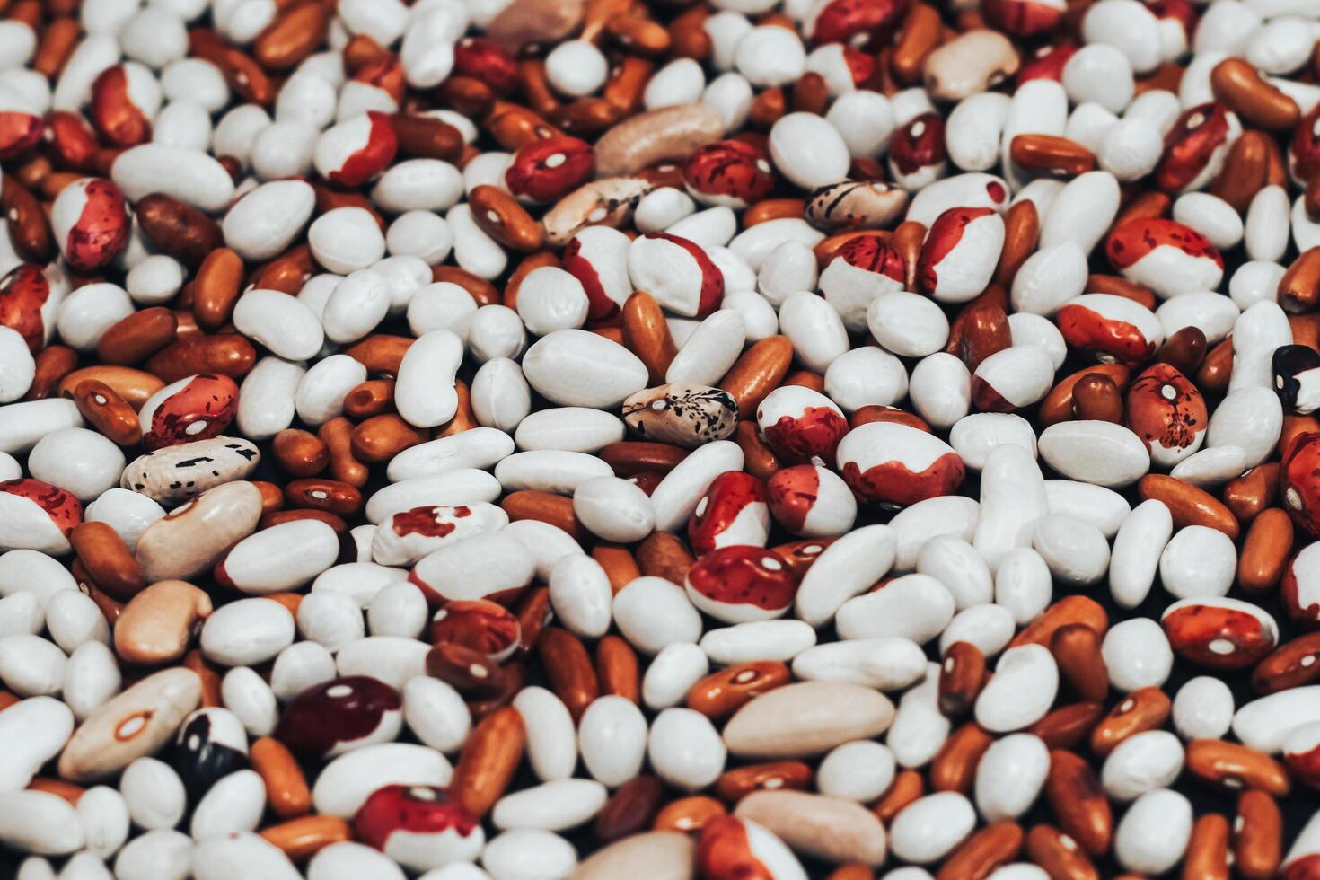 View from above. multi-colored beans scattered on a black background. background with space for text. Texture photo