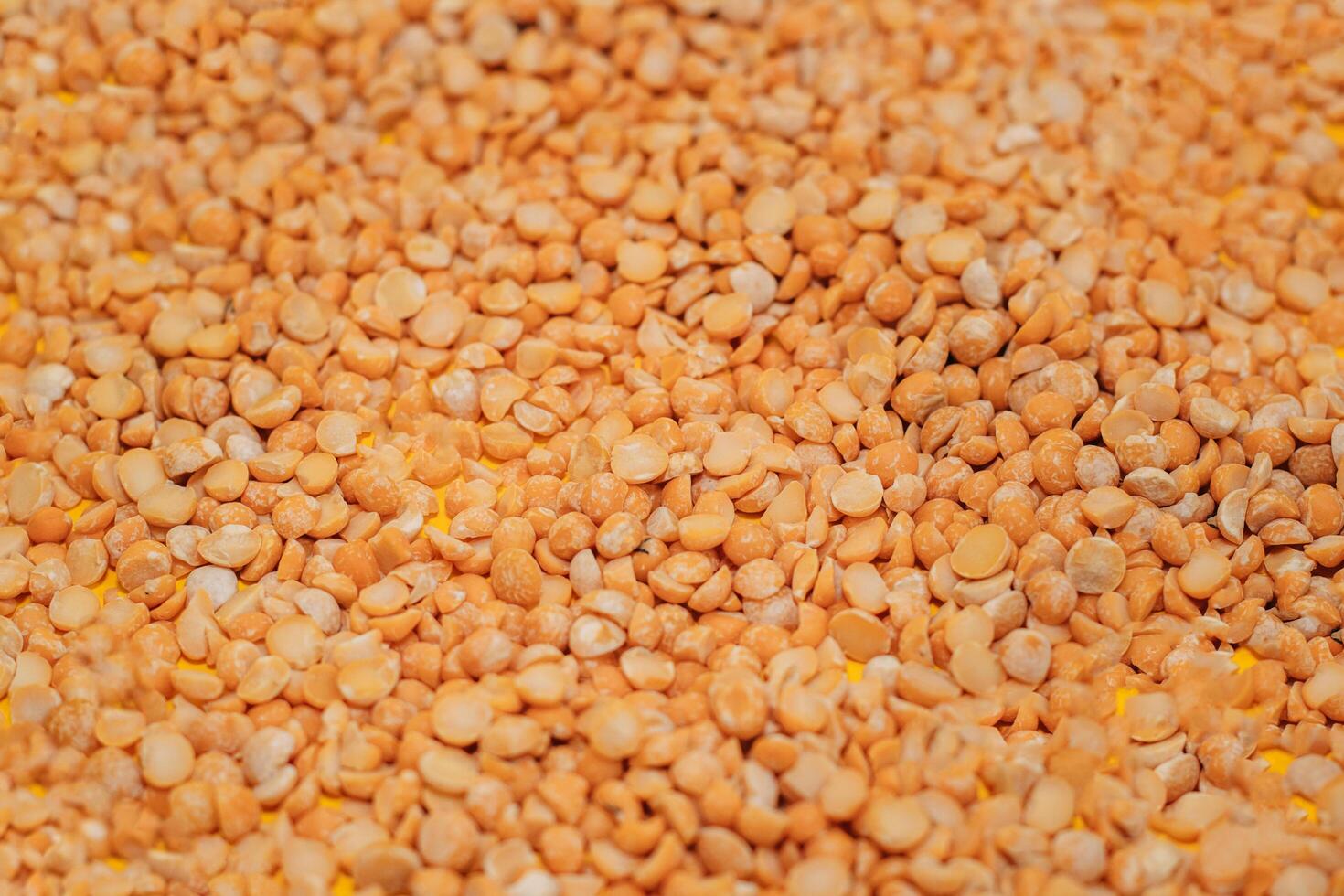 dry red peas scattered on a yellow background close-up. place for text. Texture photo