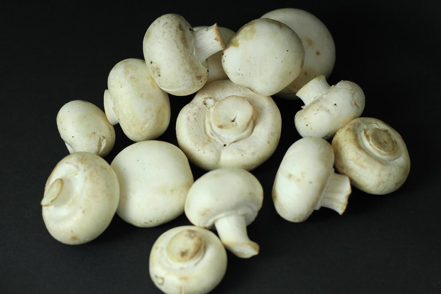 champignon mushrooms on a black background. space for text photo