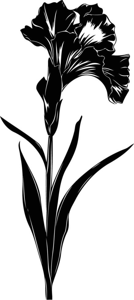 Elegant black and white silhouette of an iris flower vector