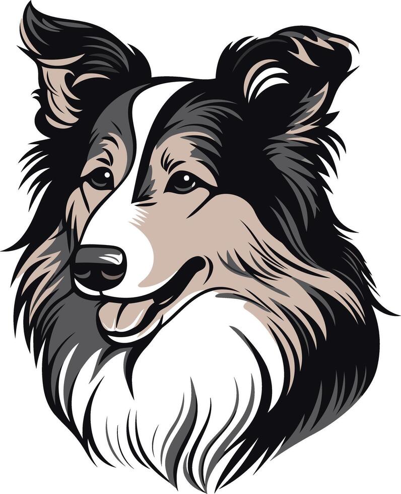 Portrait of a Smiling Collie vector
