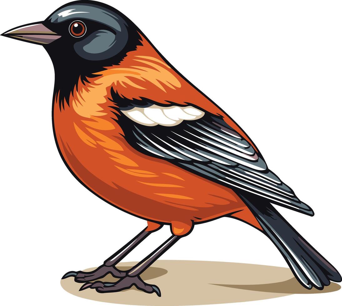 Illustration of a Colorful Bird vector