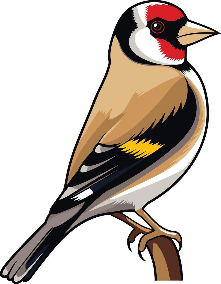 A Detailed Illustration of a Goldfinch Perched on a Branch vector