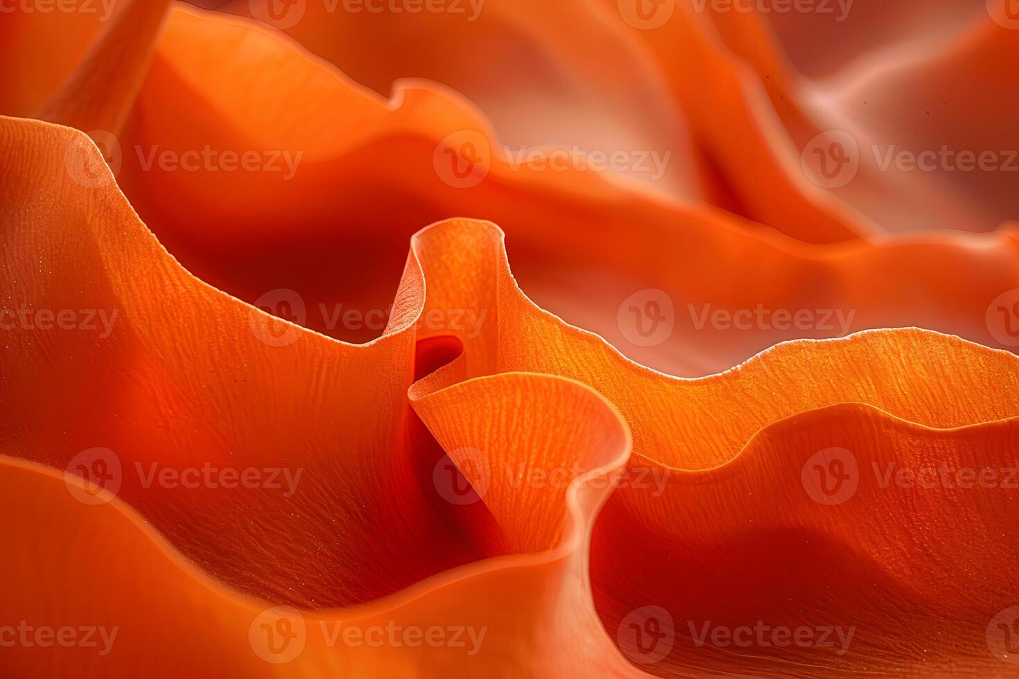 Abstract Artistic Close-Up of Orange Petal-Like Shapes for Modern Wall Art or Design photo