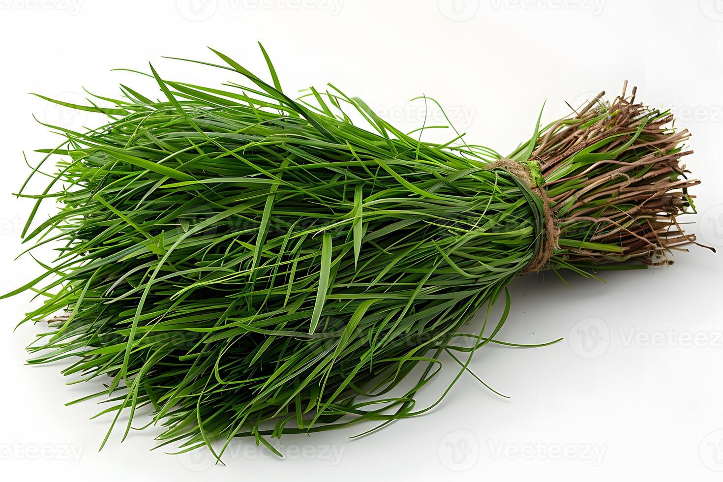 Fresh Bundle of Green Grass on White Background - Natural Design Element for Posters and Prints photo