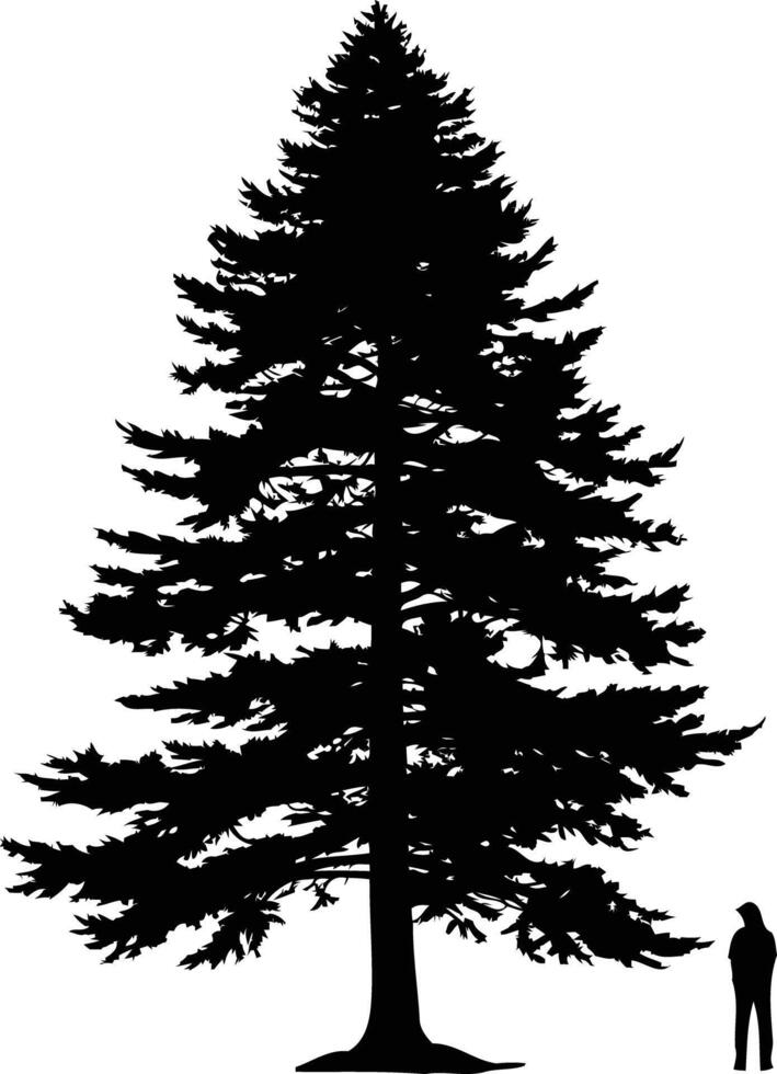 A striking silhouette of a towering evergreen tree, with a single figure standing beneath its branches vector