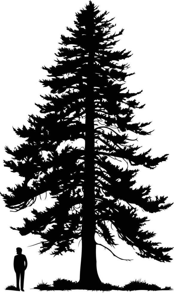 A striking silhouette of a tall pine tree against a white background, with a small figure for scale vector