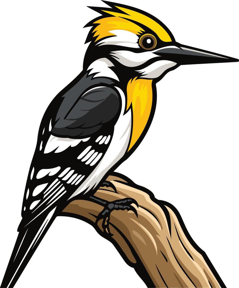 Woodpecker on a Branch vector