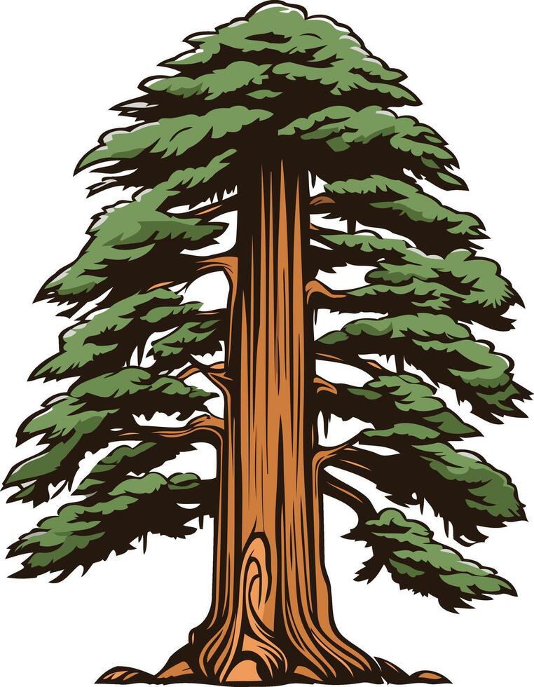 A detailed illustration of a majestic redwood tree, perfect for nature-themed designs, branding, or environmental projects vector