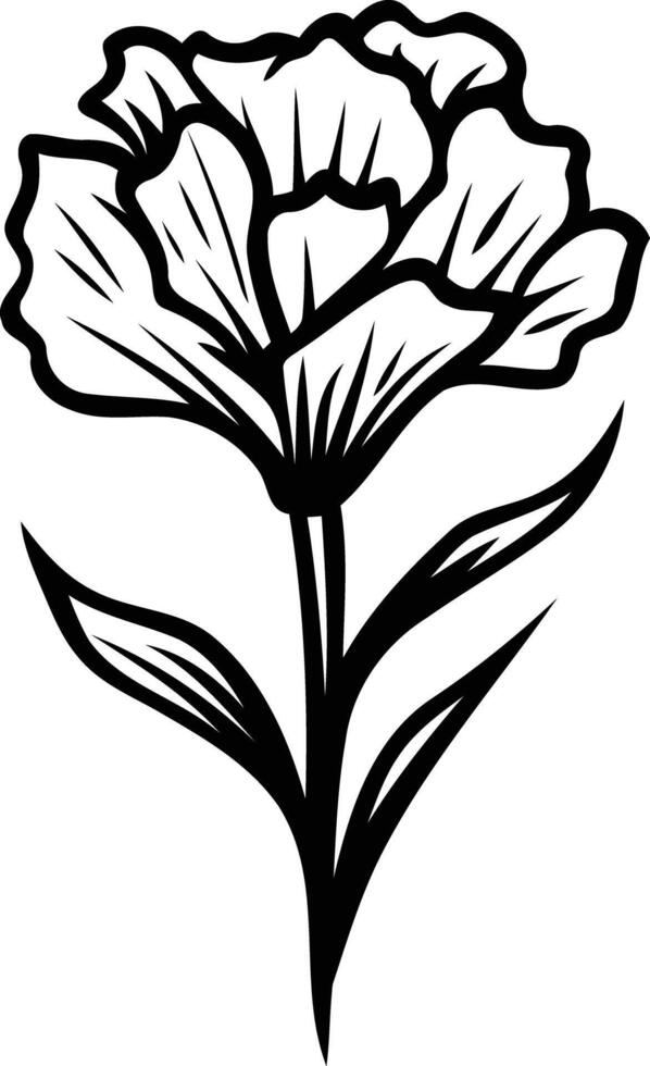 Elegant black and white illustration of a single carnation flower vector