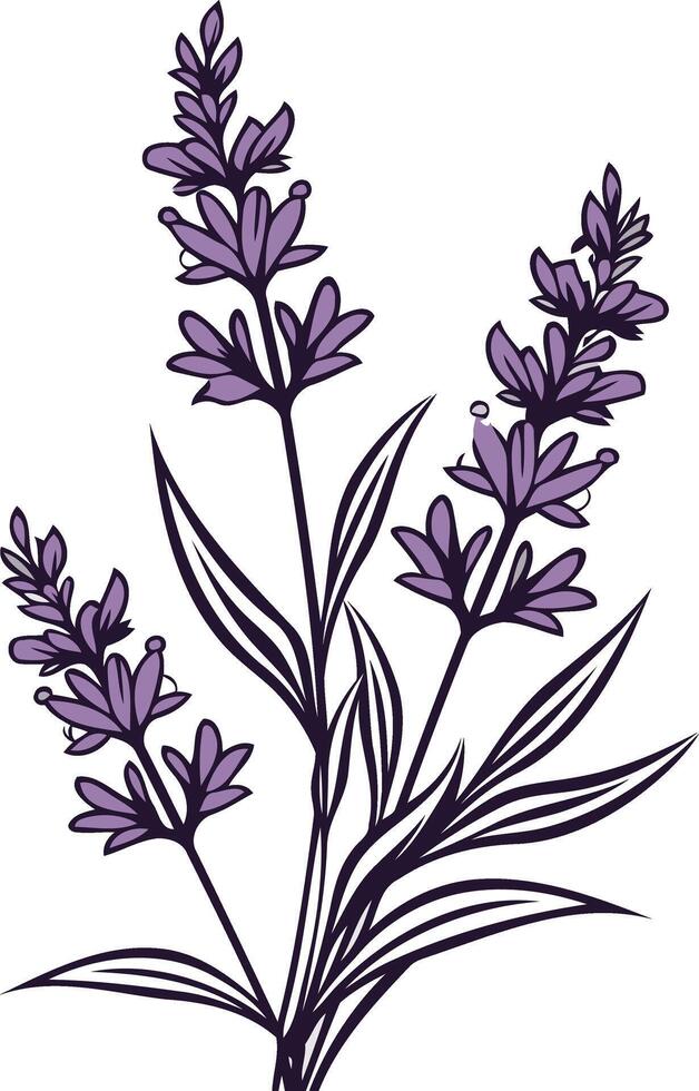 Elegant Lavender Bouquet Illustration vector