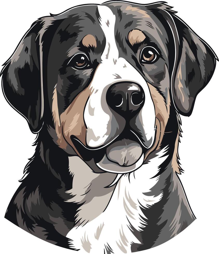 Portrait of a Bernese Mountain Dog vector