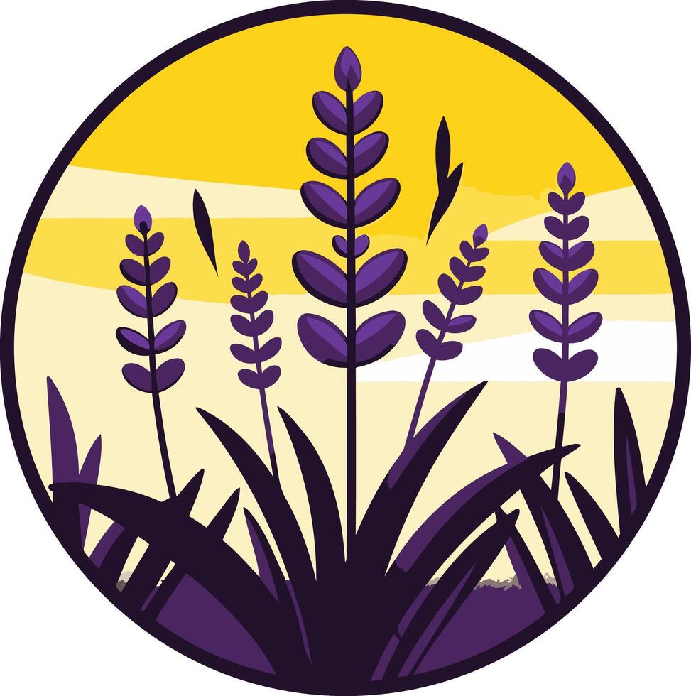 Purple Lavender Field at Sunset vector