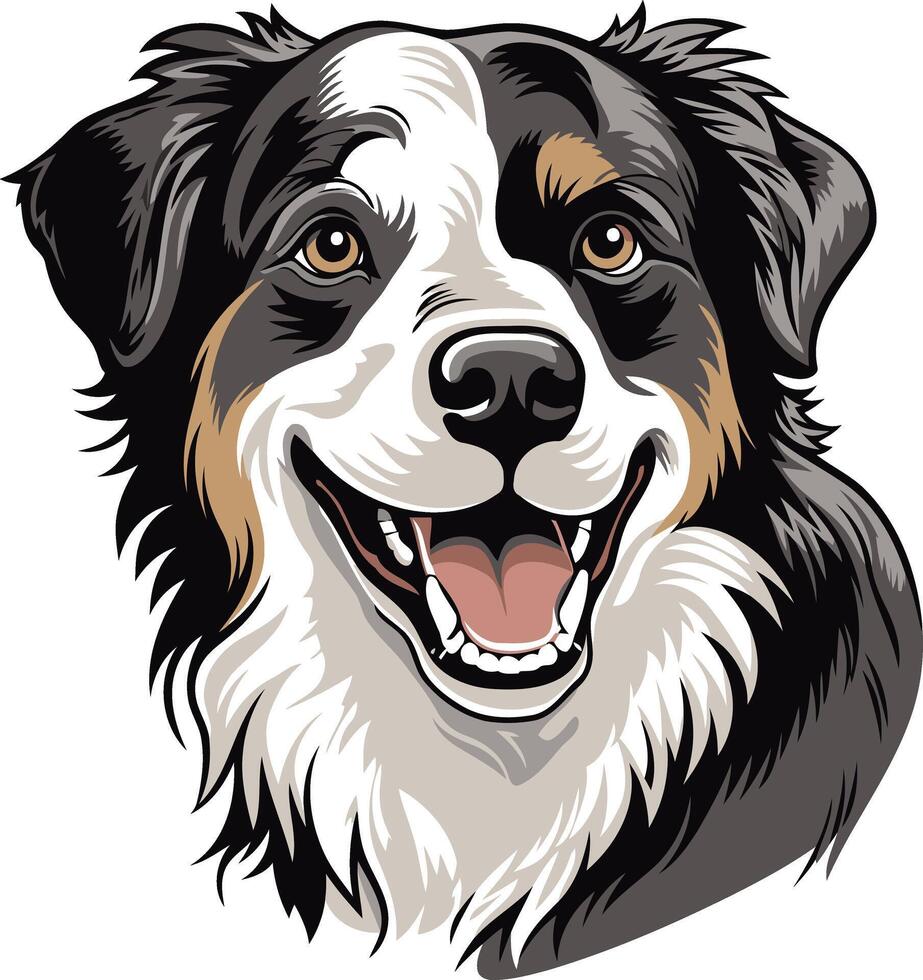 Smiling Australian Shepherd Portrait vector
