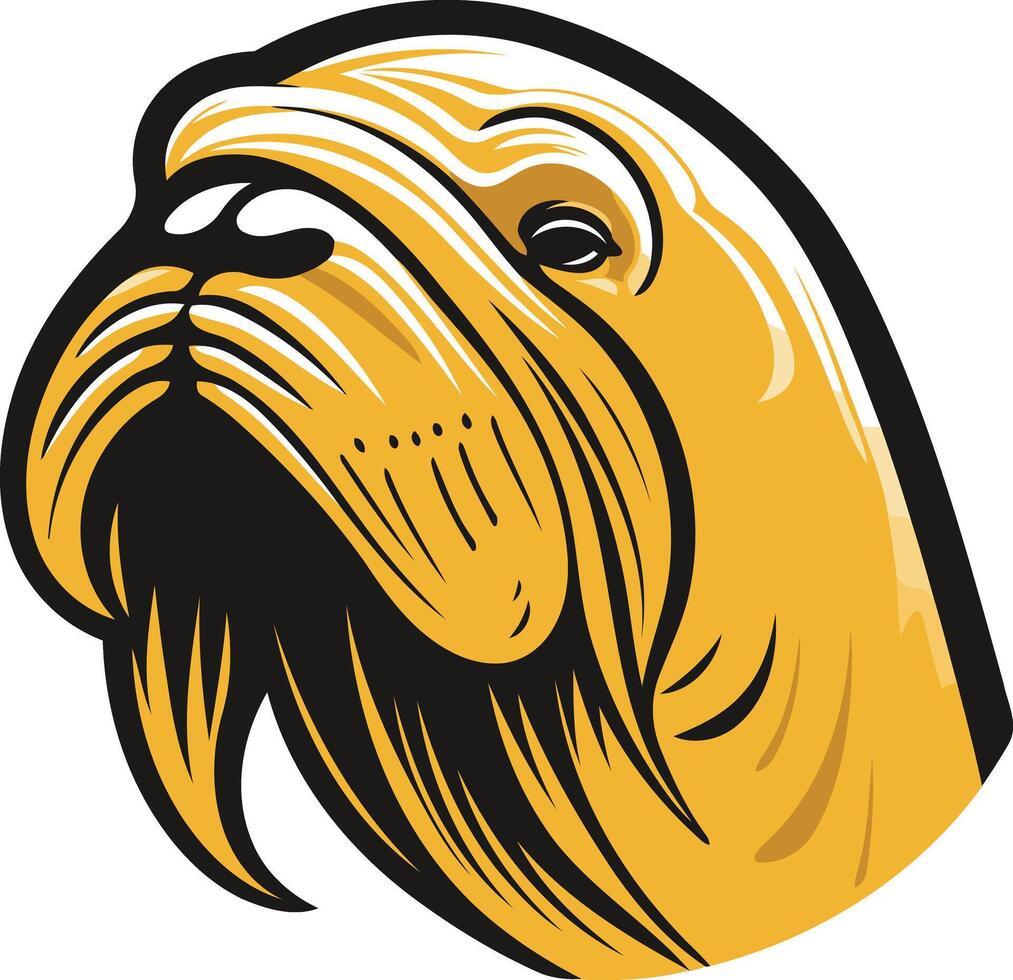 Walrus Head Illustration vector