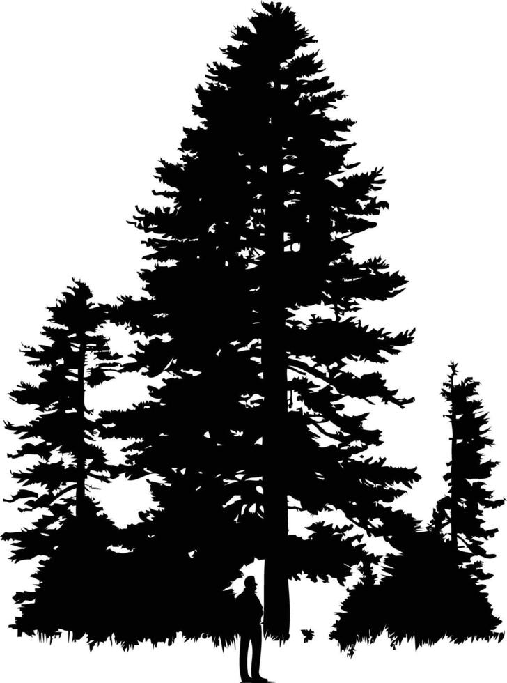 A dramatic silhouette of a lone figure standing before towering pine trees vector