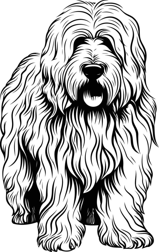 A black and white illustration of a fluffy, friendly dog vector