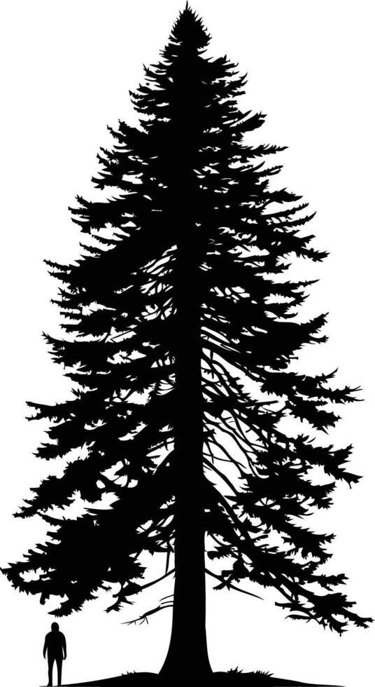 A majestic silhouette of a towering evergreen tree against a white background, emphasizing its grandeur and scale vector