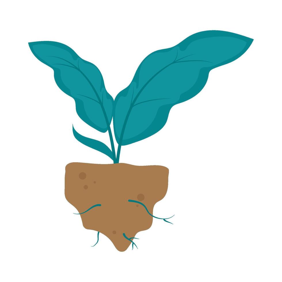 A cartoon plant with roots and leaves vector