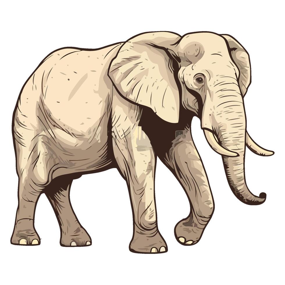 An elephant is standing in front of a white background vector
