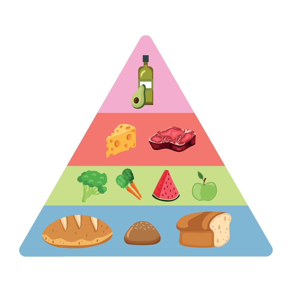 The pyramid of food is shown with different foods vector