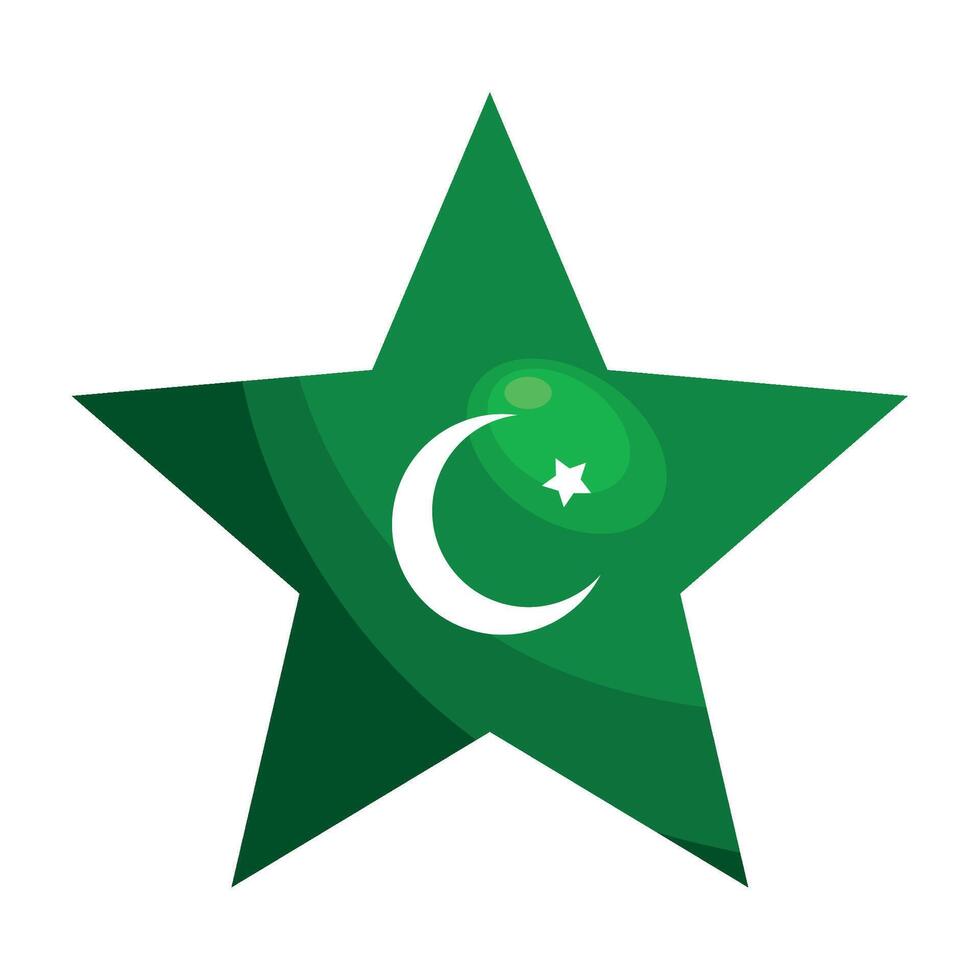 Pakistan flag illustration vector