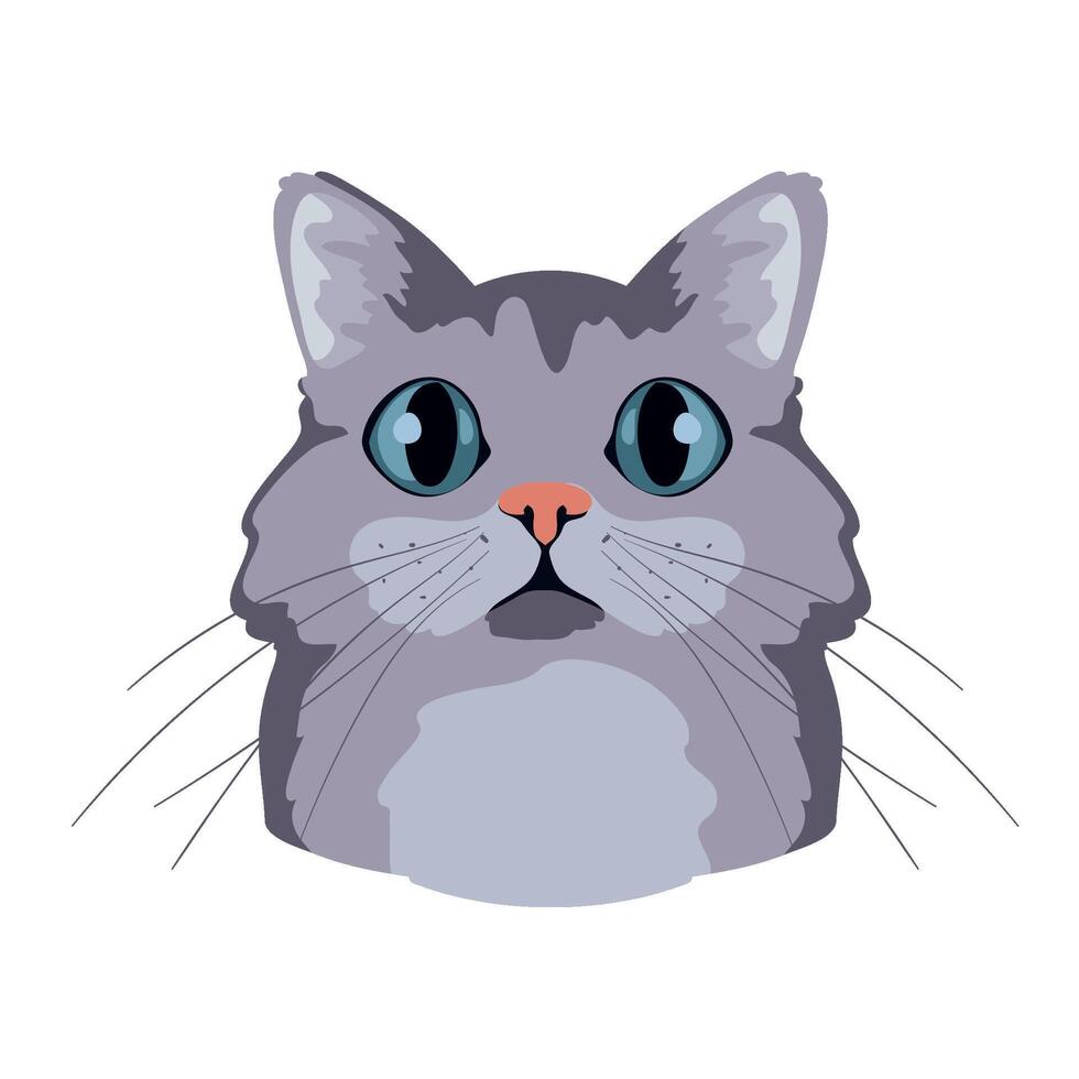 A gray cat with big eyes on a white background vector